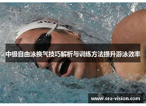 中级自由泳换气技巧解析与训练方法提升游泳效率