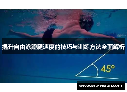 提升自由泳蹬腿速度的技巧与训练方法全面解析