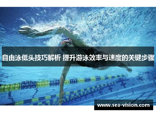 自由泳低头技巧解析 提升游泳效率与速度的关键步骤
