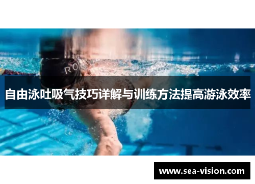 自由泳吐吸气技巧详解与训练方法提高游泳效率