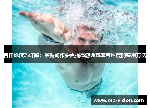 自由泳技巧详解：掌握动作要点提高游泳效率与速度的实用方法