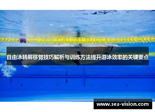 自由泳转肩移臂技巧解析与训练方法提升游泳效率的关键要点