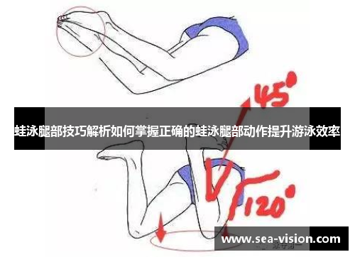 蛙泳腿部技巧解析如何掌握正确的蛙泳腿部动作提升游泳效率