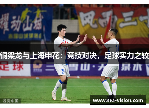 铜梁龙与上海申花：竞技对决，足球实力之较